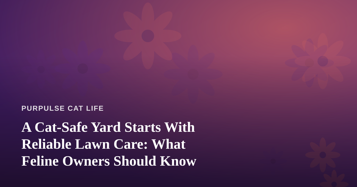 A Cat-Safe Yard Starts With Reliable Lawn Care: What Feline Owners Should Know