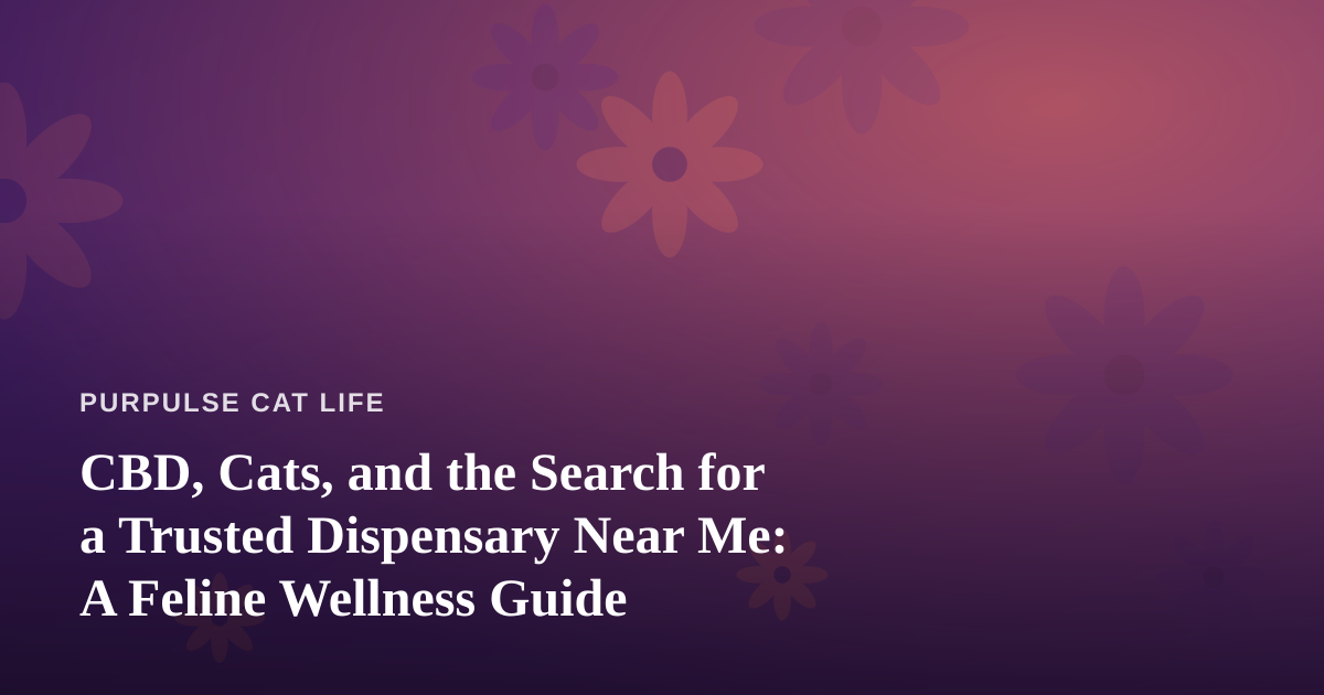 CBD, Cats, and the Search for a Trusted Dispensary Near Me: A Feline Wellness Guide