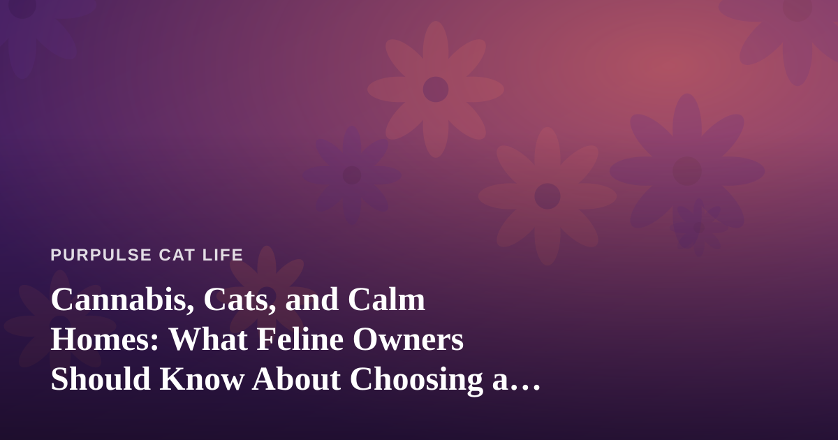 Cannabis, Cats, and Calm Homes: What Feline Owners Should Know About Choosing a Dispensary