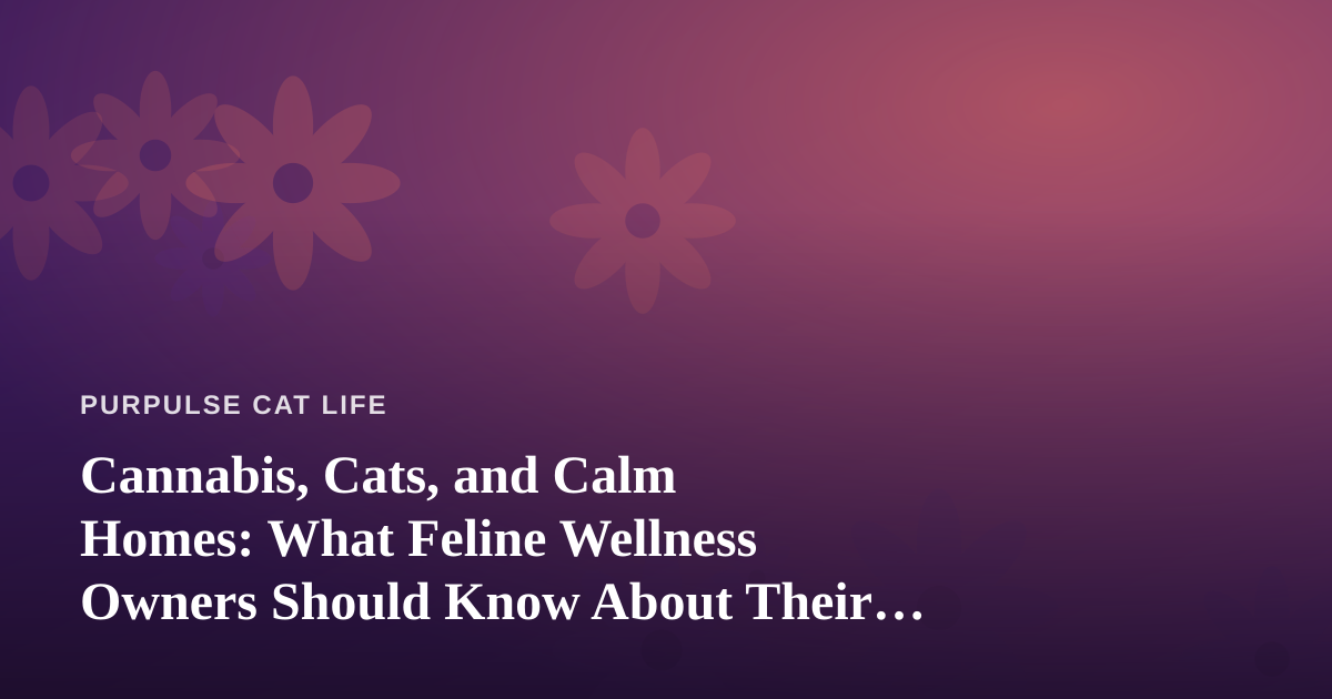 Cannabis, Cats, and Calm Homes: What Feline Wellness Owners Should Know About Their Local Dispensary
