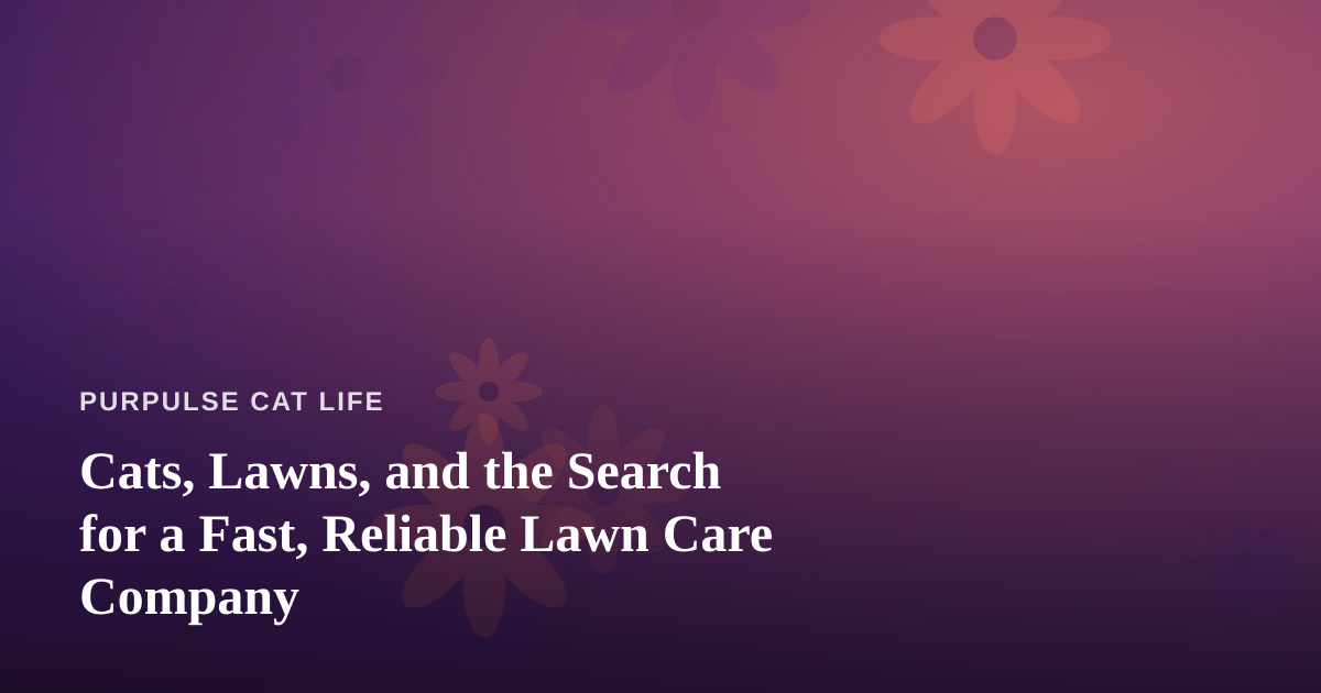 Cats, Lawns, and the Search for a Fast, Reliable Lawn Care Company