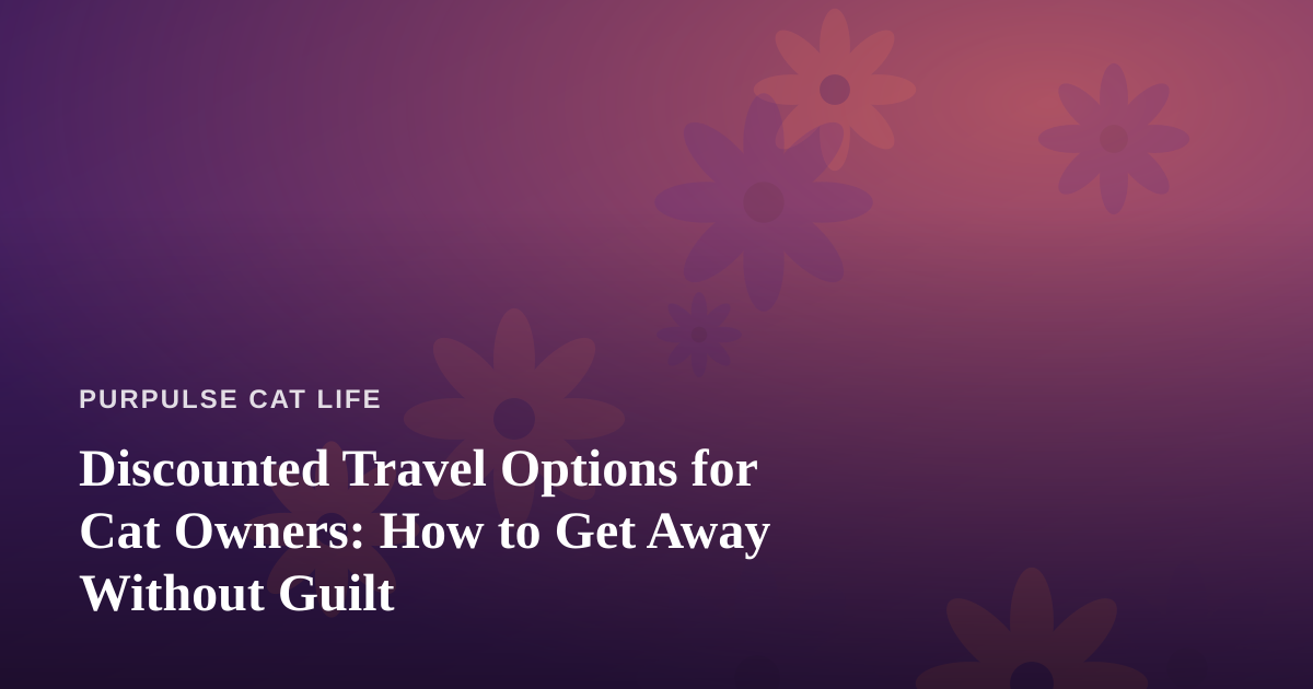 Discounted Travel Options for Cat Owners: How to Get Away Without Guilt