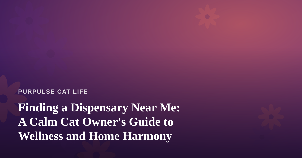 Finding a Dispensary Near Me: A Calm Cat Owner’s Guide to Wellness and Home Harmony