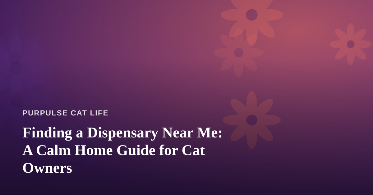 Finding a Dispensary Near Me: A Calm Home Guide for Cat Owners