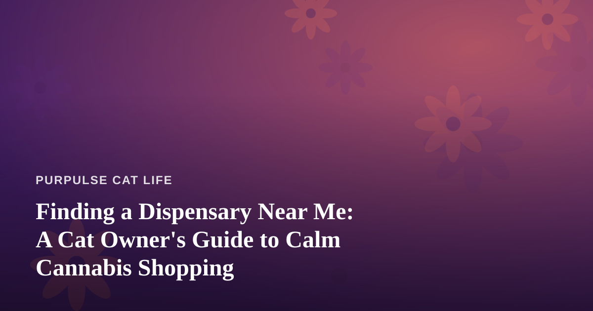 Finding a Dispensary Near Me: A Cat Owner’s Guide to Calm Cannabis Shopping