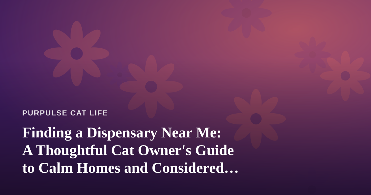 Finding a Dispensary Near Me: A Thoughtful Cat Owner’s Guide to Calm Homes and Considered Choices