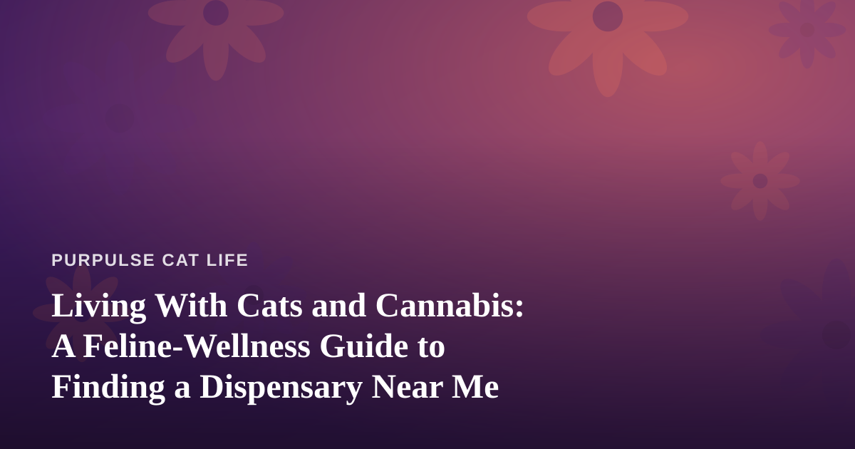 Living With Cats and Cannabis: A Feline-Wellness Guide to Finding a Dispensary Near Me