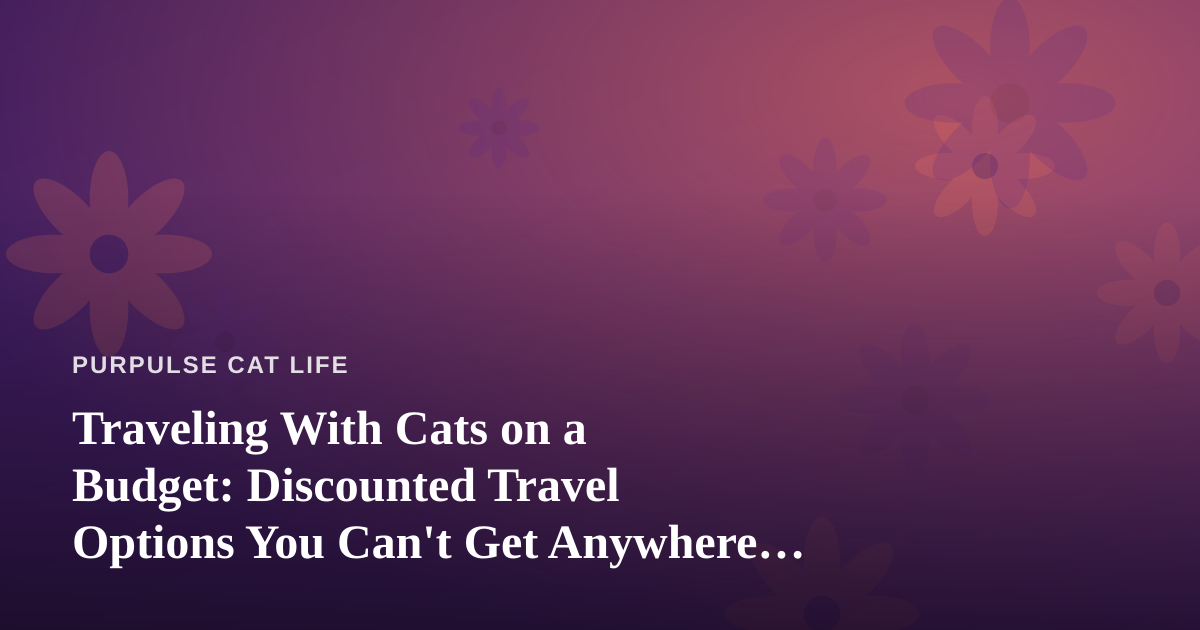 Traveling With Cats on a Budget: Discounted Travel Options You Can’t Get Anywhere Else