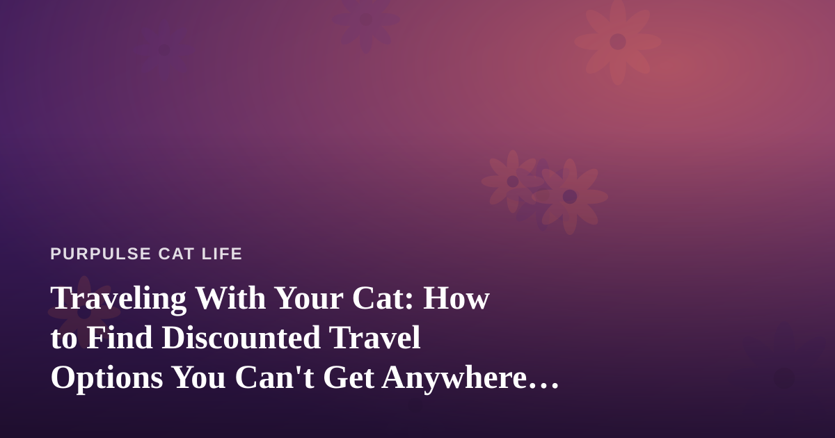 Traveling With Your Cat: How to Find Discounted Travel Options You Can’t Get Anywhere Else