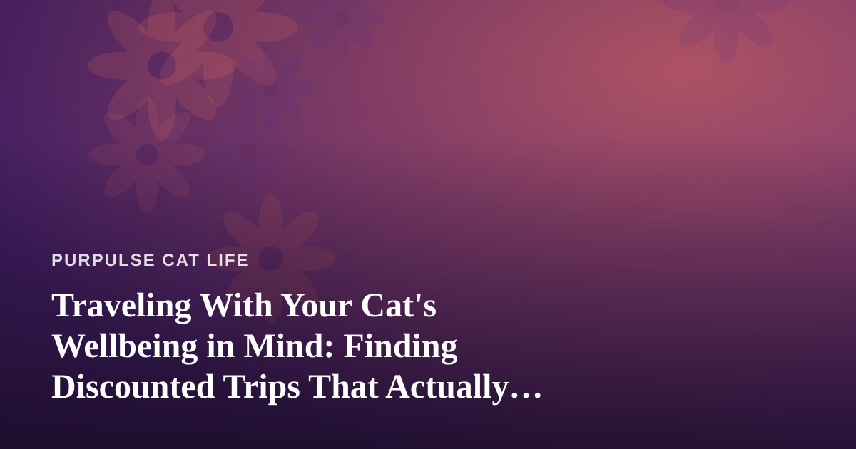 Traveling With Your Cat’s Wellbeing in Mind: Finding Discounted Trips That Actually Work for Feline Families