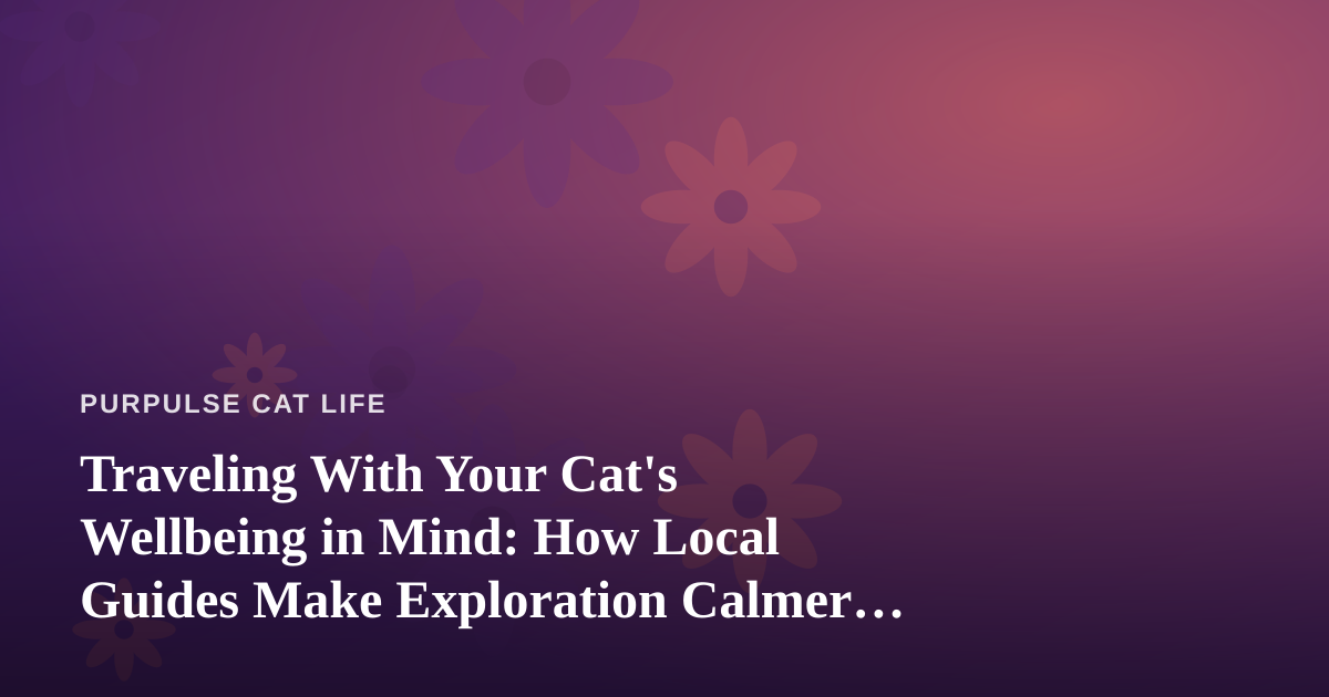 Traveling With Your Cat’s Wellbeing in Mind: How Local Guides Make Exploration Calmer for Everyone