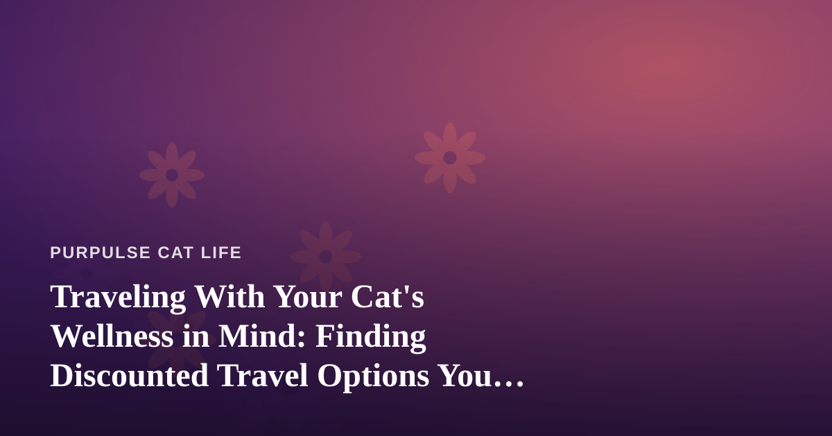 Traveling With Your Cat’s Wellness in Mind: Finding Discounted Travel Options You Can’t Get Anywhere Else
