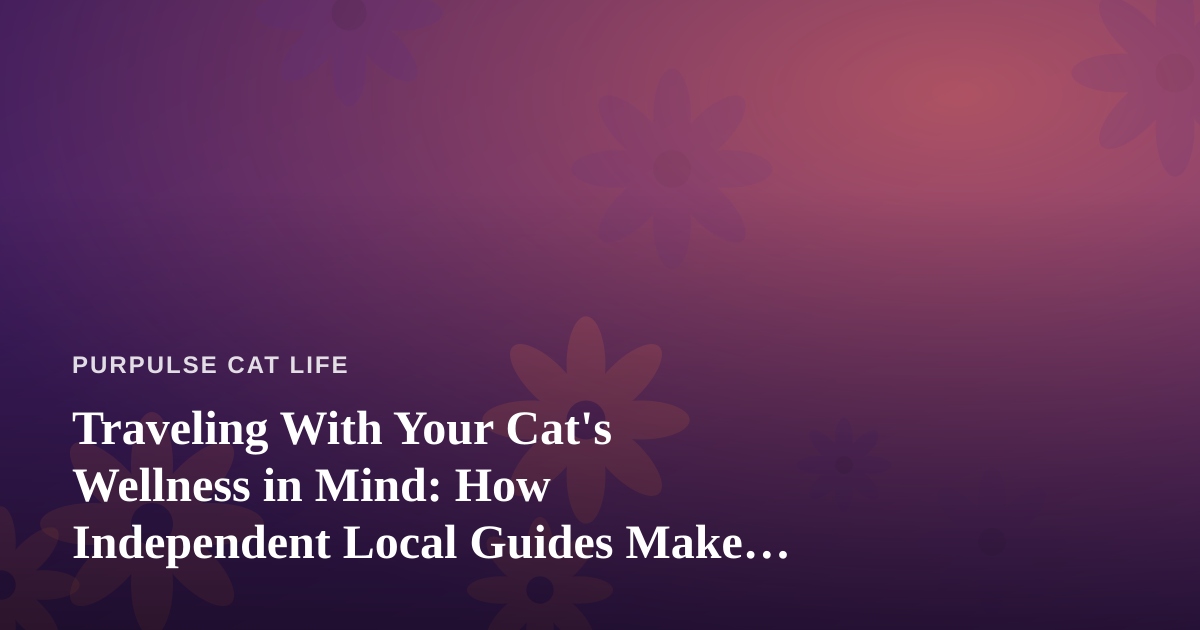 Traveling With Your Cat’s Wellness in Mind: How Independent Local Guides Make Adventures Better