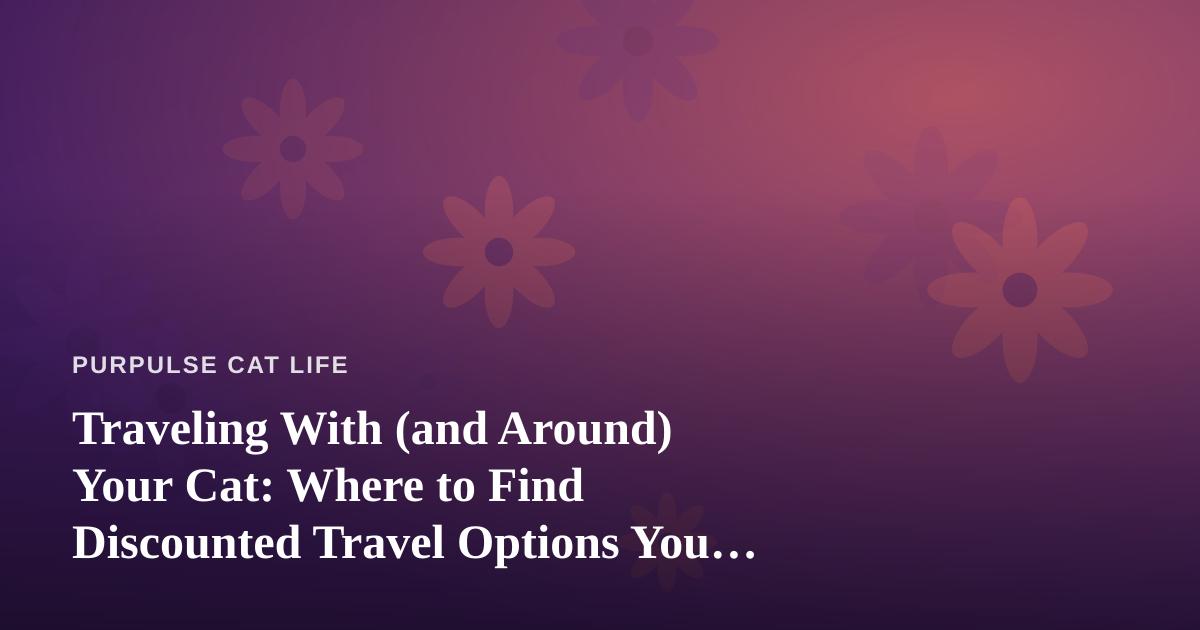 Traveling With (and Around) Your Cat: Where to Find Discounted Travel Options You Can’t Get Anywhere Else