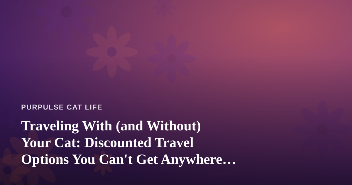 Traveling With (and Without) Your Cat: Discounted Travel Options You Can’t Get Anywhere Else