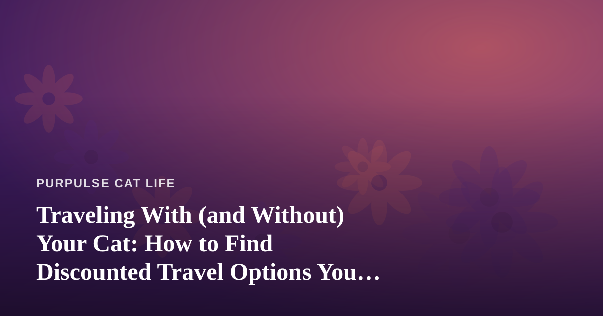 Traveling With (and Without) Your Cat: How to Find Discounted Travel Options You Can’t Get Anywhere Else