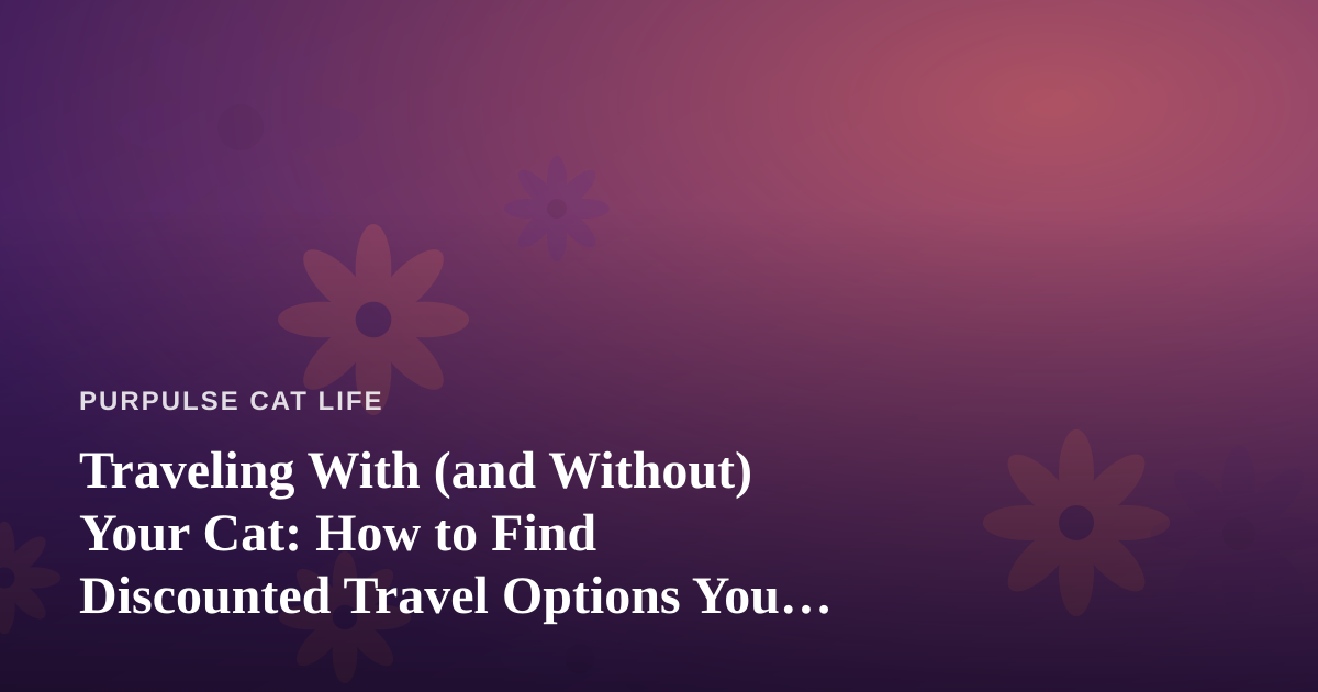 Traveling With (and Without) Your Cat: How to Find Discounted Travel Options You Can’t Get Anywhere Else