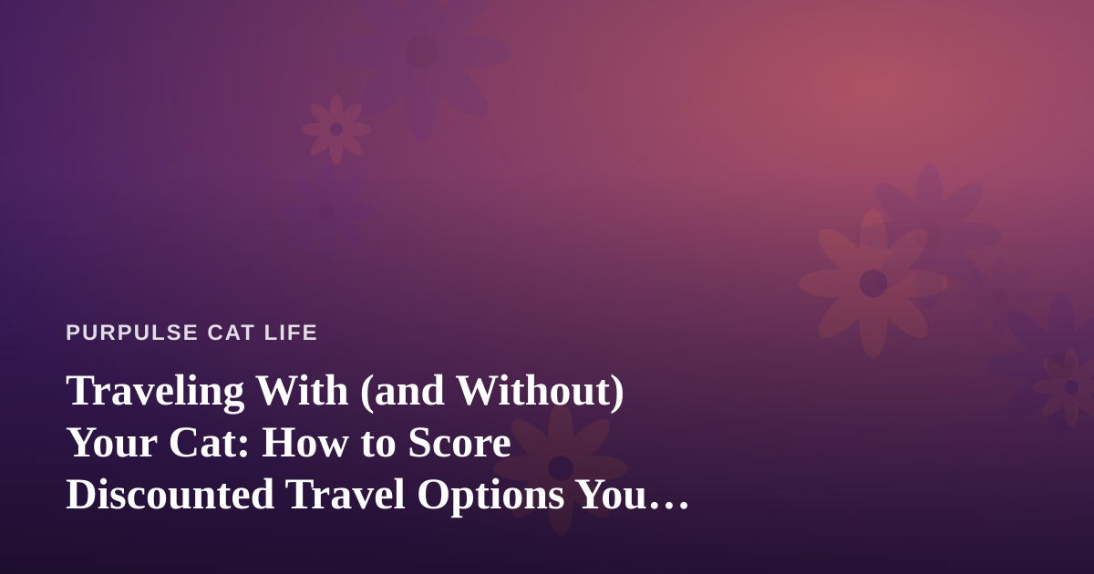 Traveling With (and Without) Your Cat: How to Score Discounted Travel Options You Can’t Get Anywhere Else