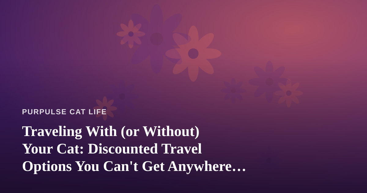 Traveling With (or Without) Your Cat: Discounted Travel Options You Can’t Get Anywhere Else