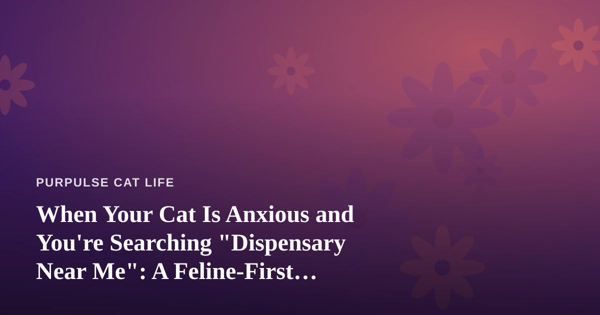 When Your Cat Is Anxious and You’re Searching “Dispensary Near Me”: A Feline-First Wellness Guide