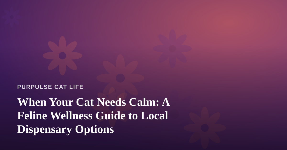 When Your Cat Needs Calm: A Feline Wellness Guide to Local Dispensary Options