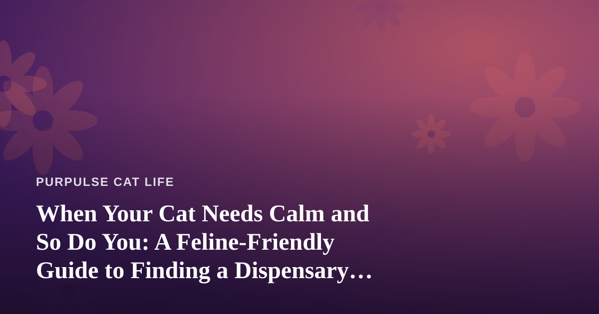 When Your Cat Needs Calm and So Do You: A Feline-Friendly Guide to Finding a Dispensary Near Me