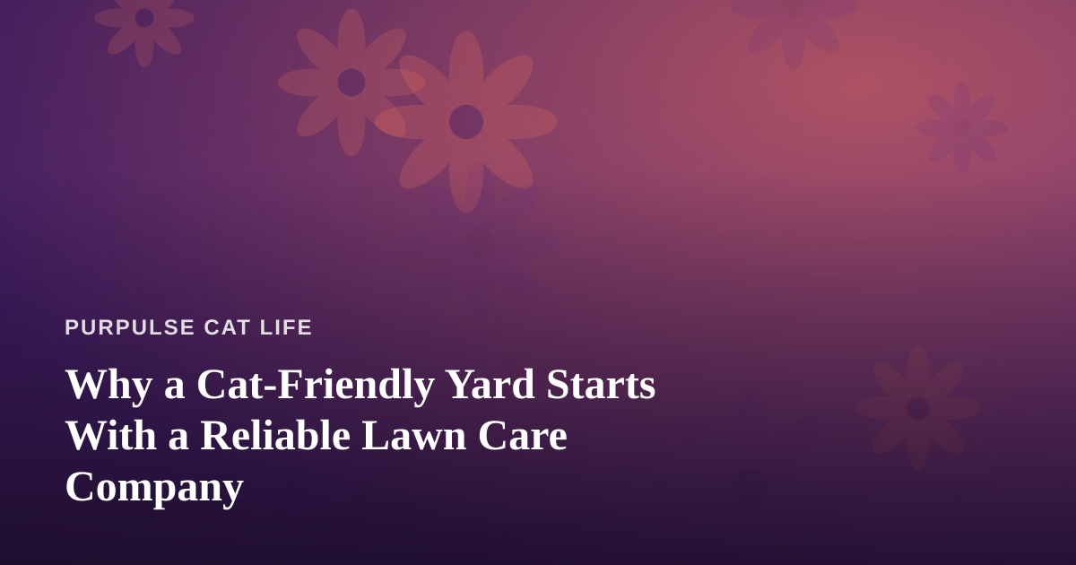 Why a Cat-Friendly Yard Starts With a Reliable Lawn Care Company