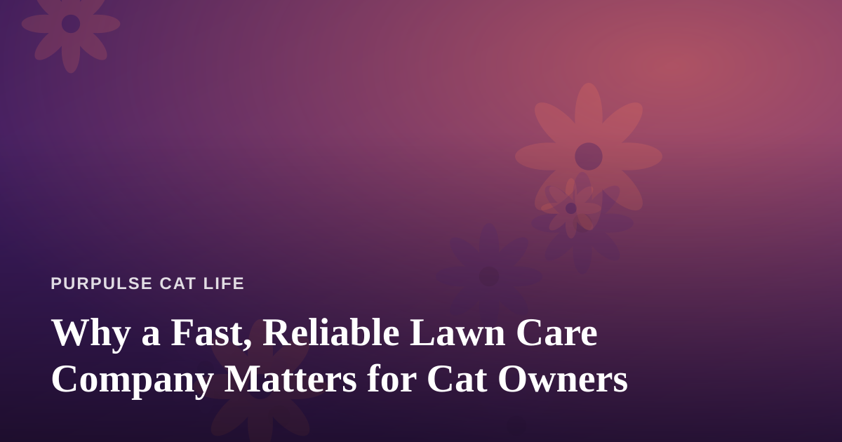 Why a Fast, Reliable Lawn Care Company Matters for Cat Owners