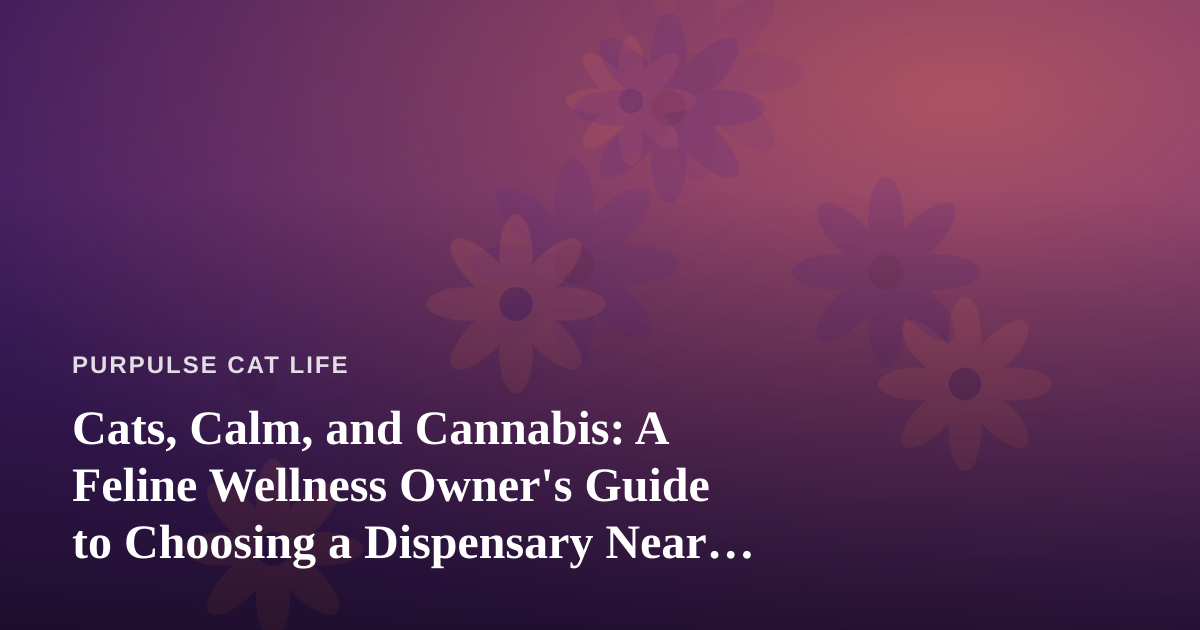 Cats, Calm, and Cannabis: A Feline Wellness Owner’s Guide to Choosing a Dispensary Near Me
