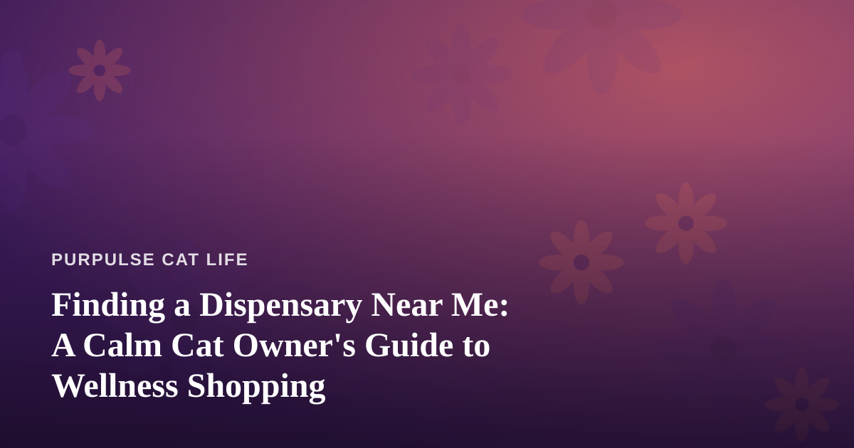 Finding a Dispensary Near Me: A Calm Cat Owner’s Guide to Wellness Shopping