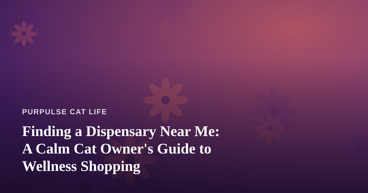 Finding a Dispensary Near Me: A Calm Cat Owner’s Guide to Wellness Shopping