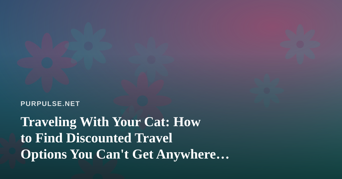 Traveling With Your Cat: How to Find Discounted Travel Options You Can’t Get Anywhere Else