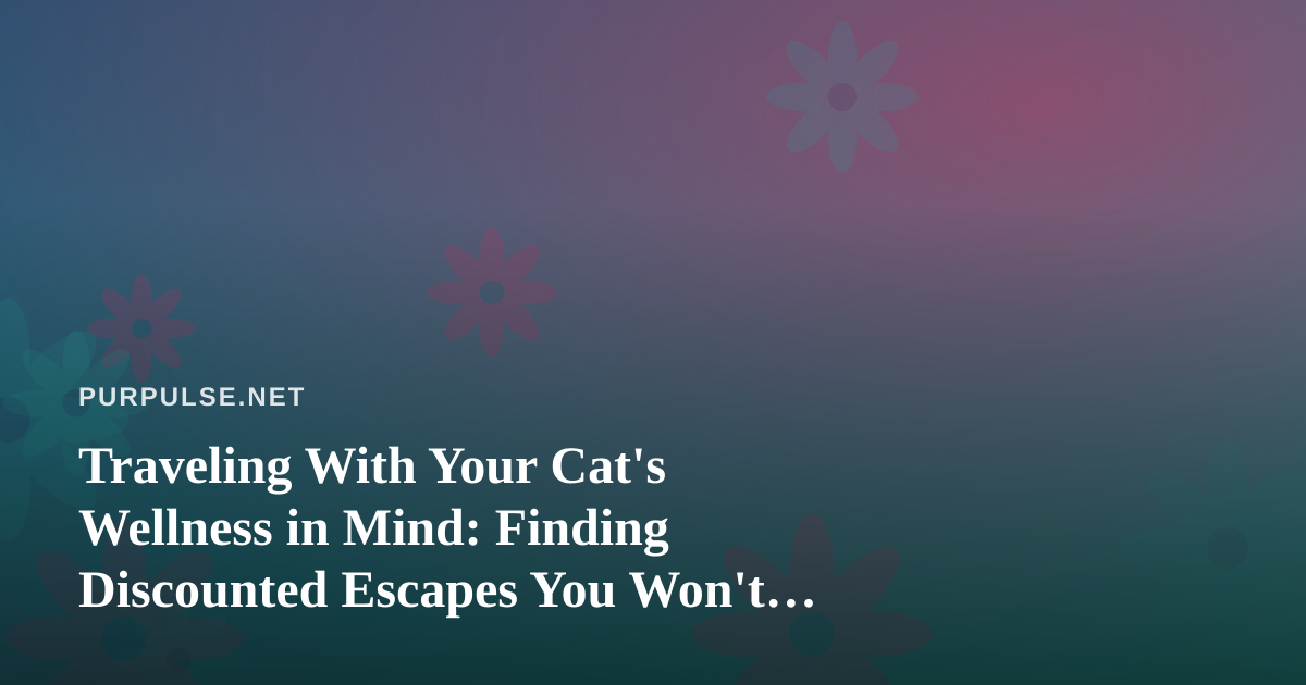 Traveling With Your Cat’s Wellness in Mind: Finding Discounted Escapes You Won’t See Elsewhere
