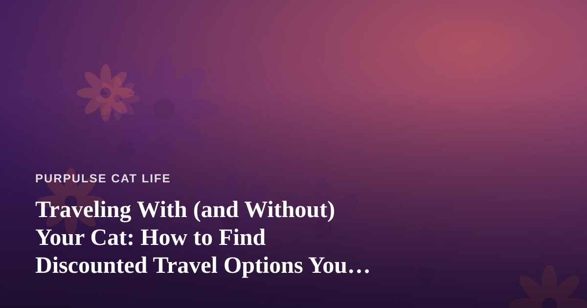 Traveling With (and Without) Your Cat: How to Find Discounted Travel Options You Won’t See Anywhere Else