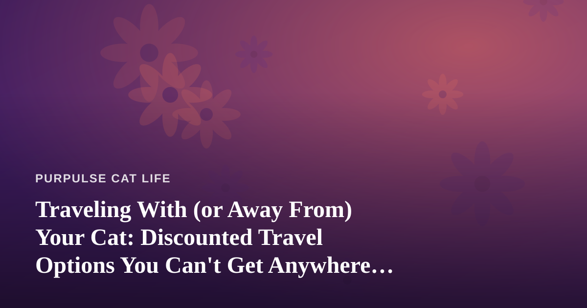 Traveling With (or Away From) Your Cat: Discounted Travel Options You Can’t Get Anywhere Else