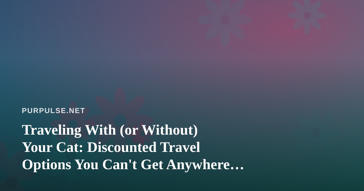 Traveling With (or Without) Your Cat: Discounted Travel Options You Can’t Get Anywhere Else