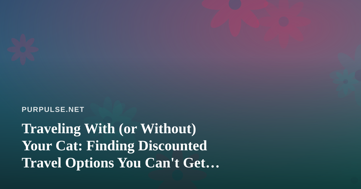 Traveling With (or Without) Your Cat: Finding Discounted Travel Options You Can’t Get Anywhere Else