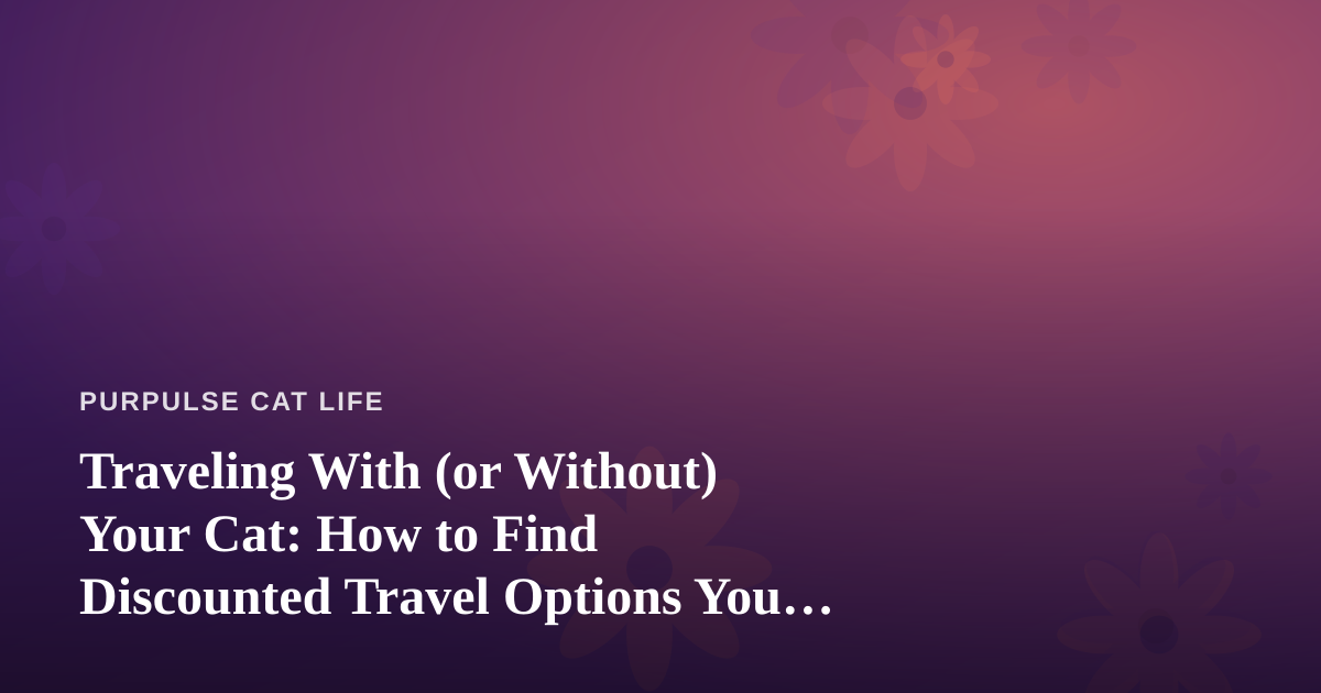 Traveling With (or Without) Your Cat: How to Find Discounted Travel Options You Can’t Get Anywhere Else