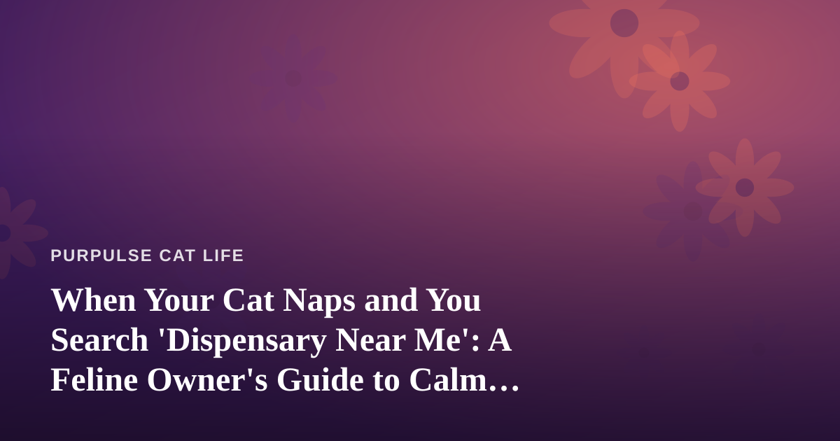 When Your Cat Naps and You Search ‘Dispensary Near Me’: A Feline Owner’s Guide to Calm, Convenience, and Coexistence