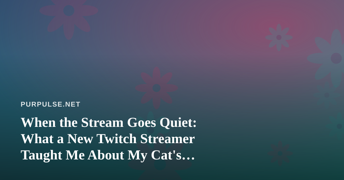 When the Stream Goes Quiet: What a New Twitch Streamer Taught Me About My Cat’s Routine